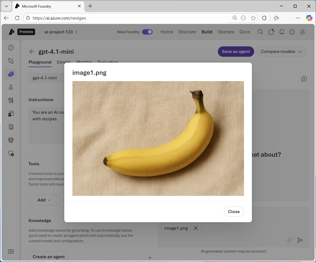 Screenshot of a chat with an image in a prompt.