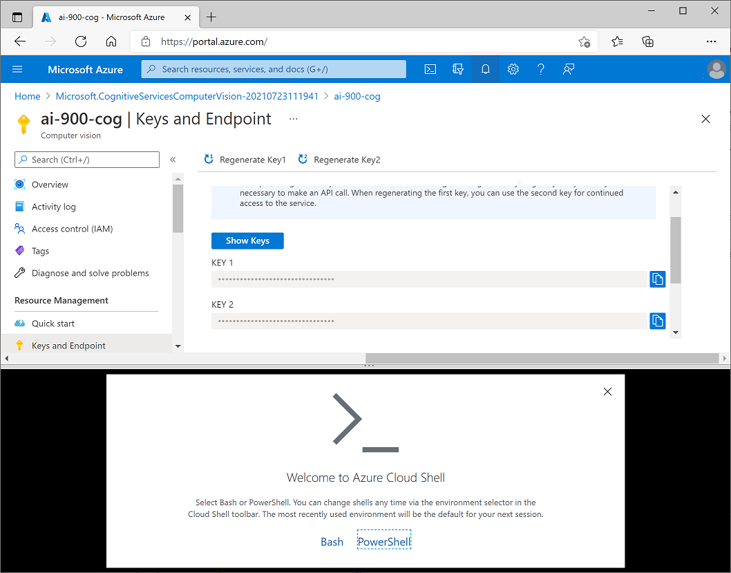 Azure cloud shell pane