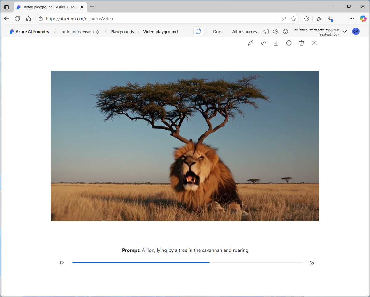 Screenshot of the video playground with a generated image.