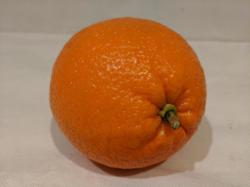A photo of a mango.